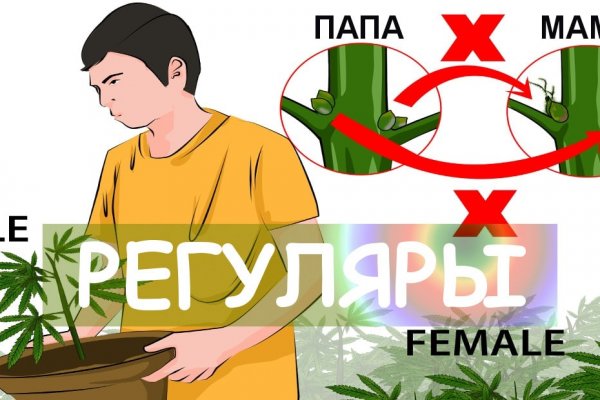 Как пополнить кошелек на кракене даркнет