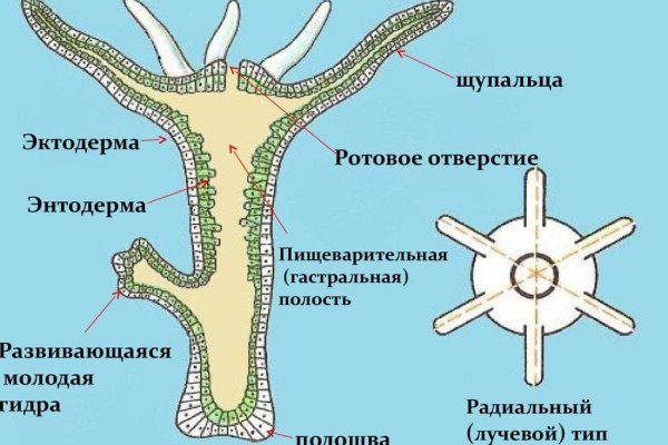 Кракен шоп что это