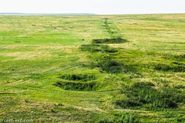 Кракен сайт ссылка тор браузере