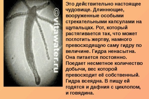 Блэкспрут зеркало кракен