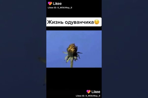 Kraken istand onion