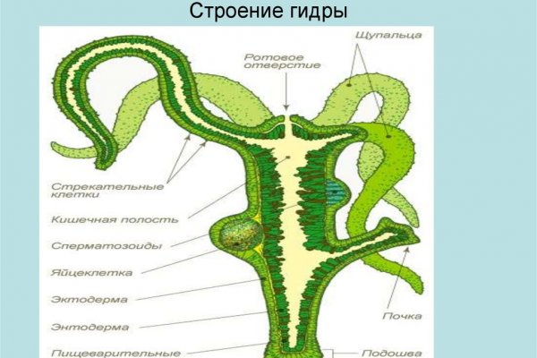Kraken at сайт