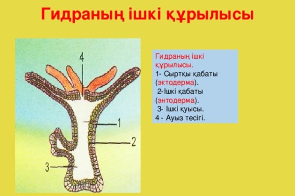Скачать кракен тор
